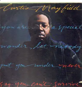 Curtis Mayfield - Never Say You Can't Survive