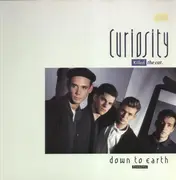 12inch Vinyl Single - Curiosity Killed The Cat - Down To Earth