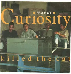 Curiosity Killed the Cat - First Place
