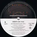 12inch Vinyl Single - Curiosity Killed The Cat - Ordinary Day