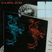 Curlew - Curlew