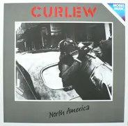 Curlew - North America