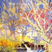 LP - Current 93 - Where The Long Shadows Fall (Beforetheinmostlight) - Clear Vinyl / single Sided