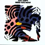 Cut Copy - Need You Now