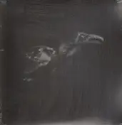 cut city - Exit Decades