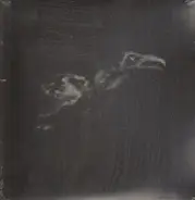 cut city - Exit Decades