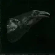 CD - cut city - Exit Decades