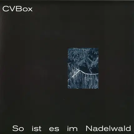 Cvbox - So Ist ES IM Nadelwald