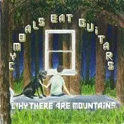 cymbals eat guitars - Why There Are Mountains