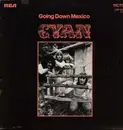 LP - Cyan - Going Down Mexico - Promo