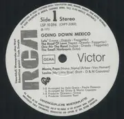LP - Cyan - Going Down Mexico - Promo