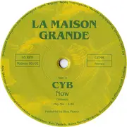 LP - C*y*b - Now
