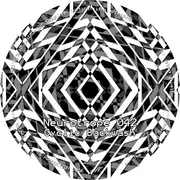 12inch Vinyl Single - Cyclic Backwash - Neurotrope 042