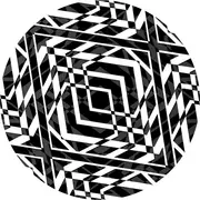 12inch Vinyl Single - Cyclic Backwash - Neurotrope 042