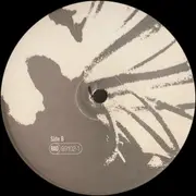 12inch Vinyl Single - Cygnus X - Superstrings