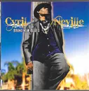 CD - Cyril Neville - Brand New Blues