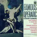 LP - Czech Philharmonic Chorus , The Prague Symphony Orchestra , Jiří Pinkas - Famous Operatic Choruses