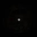 12inch Vinyl Single - D-Other - Reaching For The Star