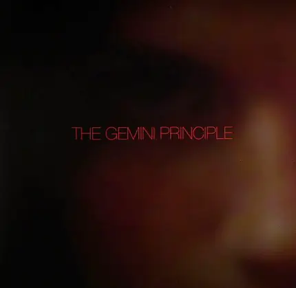 D-Bridge - The Gemini Principle