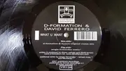 2 x 12inch Vinyl Single - D-Formation & David Ferrero - What U Want