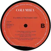 12inch Vinyl Single - D-Label & The Funky Art - I Can Make You Feel Good