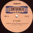 12inch Vinyl Single - D-Tune - Burning Down