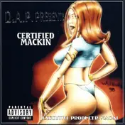 D.A.P. - Certified Mackin