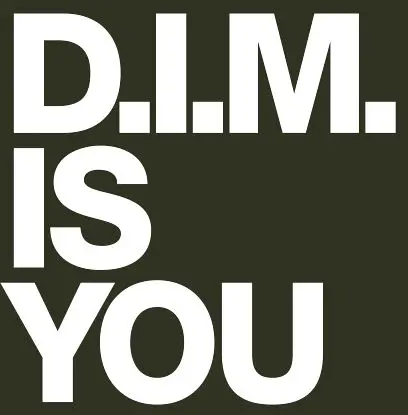 D.i.m. - Is You, Brodinski Remix