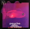 Double LP - D.J Zoo-B - Psychedelic Krembo - Selected Tunes Part 3