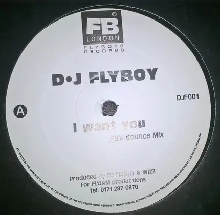 D.J. Flyboy - I Want You