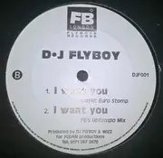 12inch Vinyl Single - D.J. Flyboy - I Want You