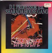 12inch Vinyl Single - D.J. Professor - Life Is Life