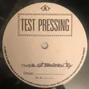 12inch Vinyl Single - D.X. - Girl Got Brand New Toy