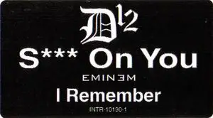 D12 - Shit On You