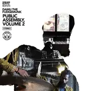 LP - Damu The Fudgemunk - Public Assembly Volume 2 - Black/White/Gold Splatter
