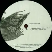 Damián Schwartz / Jonas Kopp - Hidden House / Tool Dub Red