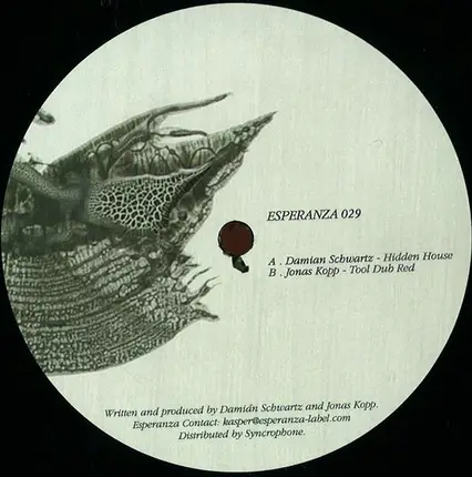 Damián Schwartz / Jonas Kopp - Hidden House / Tool Dub Red