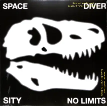 Damiano von Erckert - Space, Diversity, No Limits