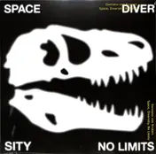 DAMIANO VON ERCKERT - Space, Diversity, No Limits