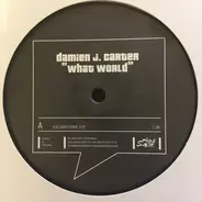 Damien J. Carter - What World