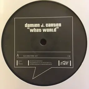 Damien J. Carter - What World