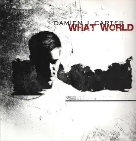 Damien J. Carter - What World