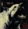 LP - Damien - Every Dog Has Its Day - Insert