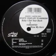 Damien J. Carter - Devote Your Life To Harmony