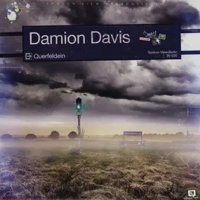 Damion Davis - Querfeldein