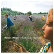 Damon And Naomi - False Beats and True Hearts
