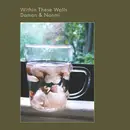 CD - Damon & Naomi - Within These Walls