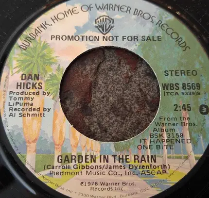 Dan Hicks - Garden In The Rain