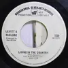 7inch Vinyl Single - Dan Levitt & Marc McClure - Living In The Country