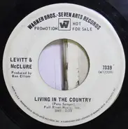 Dan Levitt & Marc McClure - Living In The Country